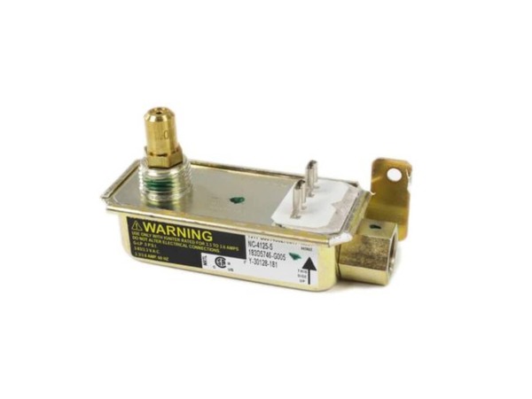 8754439-1-M-GE-WB21X21212-SAFETY VALVE SINGLE