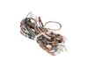 HARNESS MAIN GAS – Part Number: WE08X10084