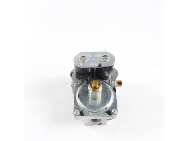 8756747-1-M-GE-WE14X10109-GAS VALVE