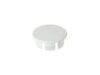 8757985-2-S-GE-WR02X20347-I/M FILL PLUG BUTTON