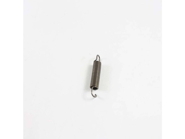 8767546-1-M-GE-WE01X10374-SPRING IDLER