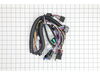 Wire Harness- Zoom/zt – Part Number: 00347901