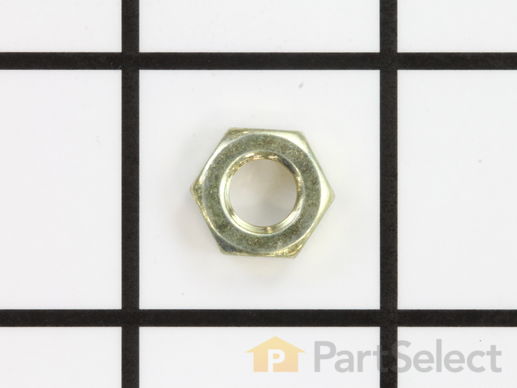 8800265-1-M-Ariens-06536100-Nut, Jam .31-18