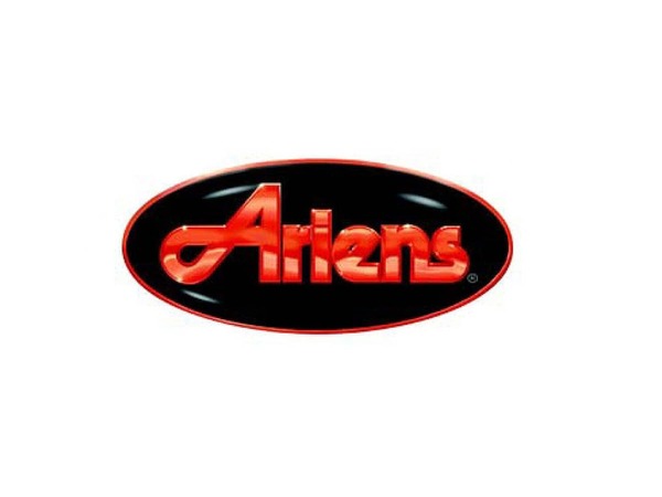 8803823-1-M-Ariens-07800223-DECAL, ARIENS LOGO