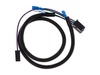Wire Harness – Part Number: 1-613262