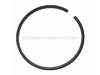 Ring-Piston – Part Number: 10001143230