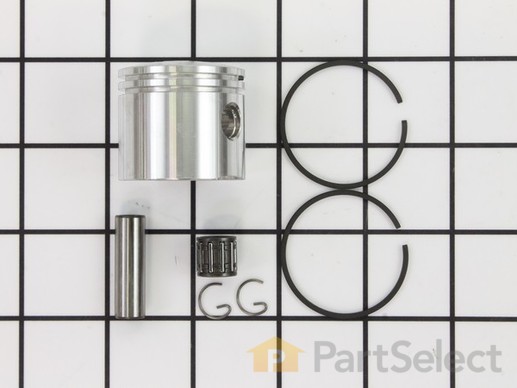 8815935-1-M-Echo-10000027431-Piston