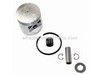 Piston – Part Number: 10000017330