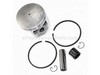 Piston Kit – Part Number: 10000008360