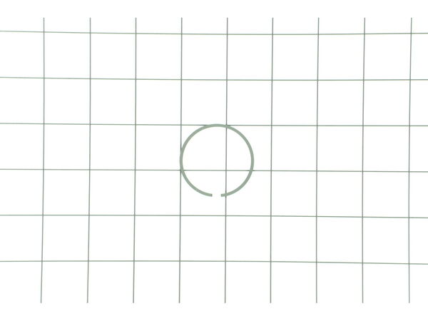 8817234-1-M-Echo-10001137330-Ring- Piston