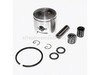 Piston – Part Number: 10000040631