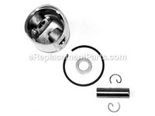 Piston Kit – Part Number: 10000044331