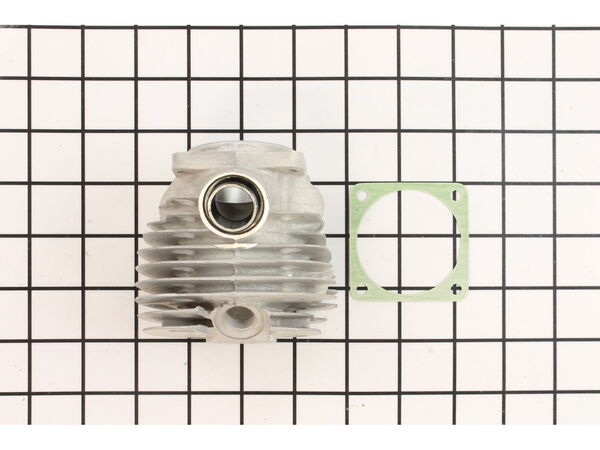 8819147-1-M-Echo-10100139730-Cylinder Assembly