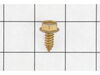 Screw-hh, Tap – Part Number: 112-0472