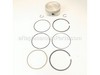 Kit, Piston W/Ring Set Std – Part Number: 12-874-07-S