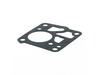 8853906-2-S-Echo-12212500230-Pump Gasket