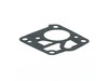 8853906-3-S-Echo-12212500230-Pump Gasket
