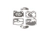 Diaphragm Kit – Part Number: 12310103930