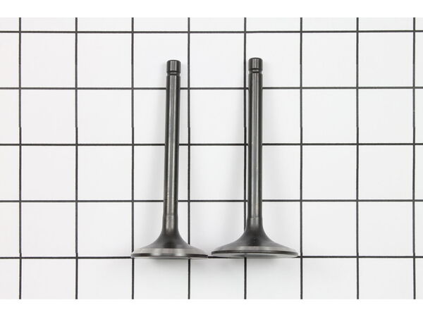 8854943-1-M-Toro-120-4302-VALVE SET