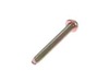 8856758-2-S-Echo-12311005560-Trimmer Fuel Pump Cover Screw