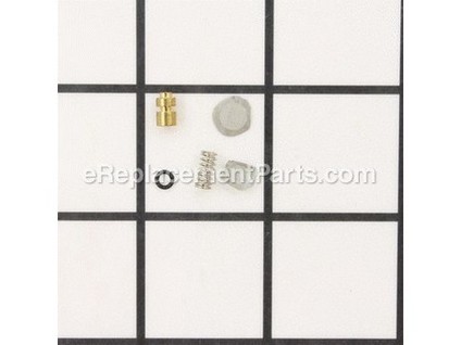 8857085-1-M-Echo-12530613120-Pump Kit