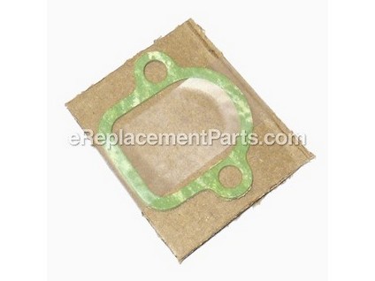 8857311-1-M-Echo-13001013931-Gasket