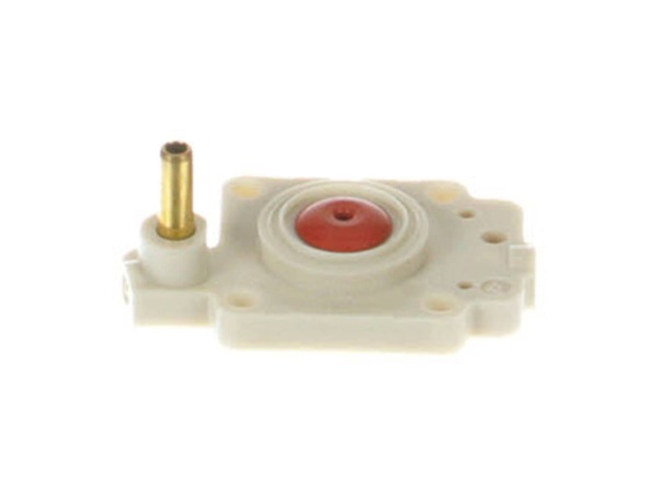 8857341-1-M-Echo-12318046130-Body Assembly-air Purge