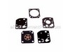 Gasket/Diaphragm Kit – Part Number: 12530306560