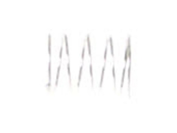 8859734-1-M-Echo-12902016130-SPRING
