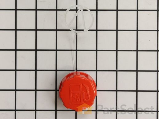 8863176-1-M-Echo-13100455530-Cap Assembly
