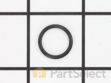 O-Ring – Part Number: 165B3169GS