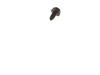 8880425-3-S-Husqvarna-17000510-Screw 5/16-18