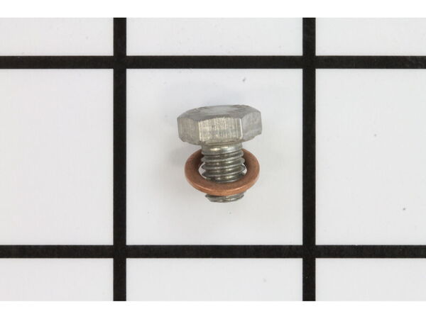 8903785-1-M-Briggs and Stratton-190655GS-Grub Screw & Washer