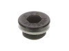 8904695-2-S-Briggs and Stratton-190571GS-Cap, Oil