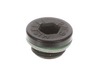 8904695-3-S-Briggs and Stratton-190571GS-Cap, Oil