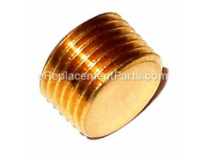 8904699-1-M-Briggs and Stratton-190581GS-Cap