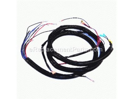 8905903-1-M-Briggs and Stratton-186277GS-Wire Harness, Engine