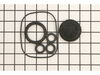 Kit, Oil Seals – Part Number: 198846GS