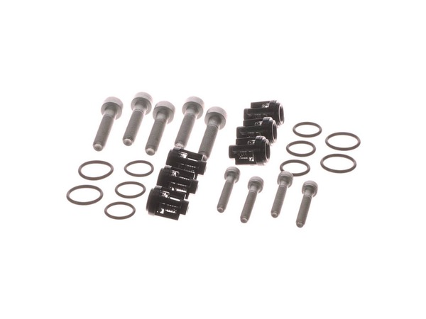 8909016-1-M-Briggs and Stratton-193806GS-Kit, Check Valves