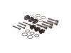 8909016-2-S-Briggs and Stratton-193806GS-Kit, Check Valves