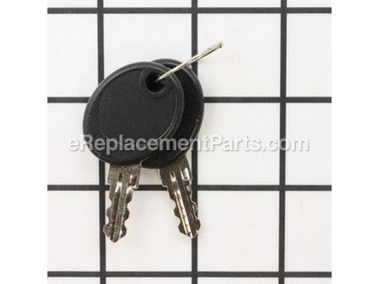 8909550-1-M-Briggs and Stratton-194828GS-Set, Latch Key