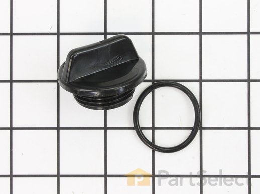 8911491-1-M-Briggs and Stratton-198155GS-Assembly, Plug