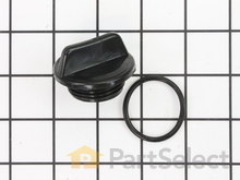 Assembly, Plug – Part Number: 198155GS