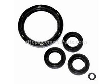 Kit, Seal Oil – Part Number: 194425GS