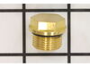 Drain Plug – Part Number: 203034GS