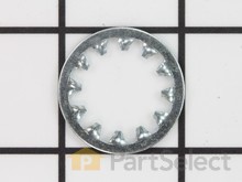 Lockwasher-Internal – Part Number: 1960547SM