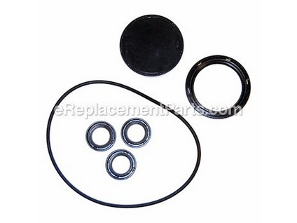8914677-1-M-Briggs and Stratton-202B2126GS-Kit, Oil Seals