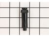 Button Plunger Black – Part Number: 21547392