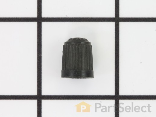 8921662-1-M-Ariens-21546747-Cap.Valve.Tire