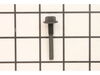 Hinge Screw – Part Number: 21546871